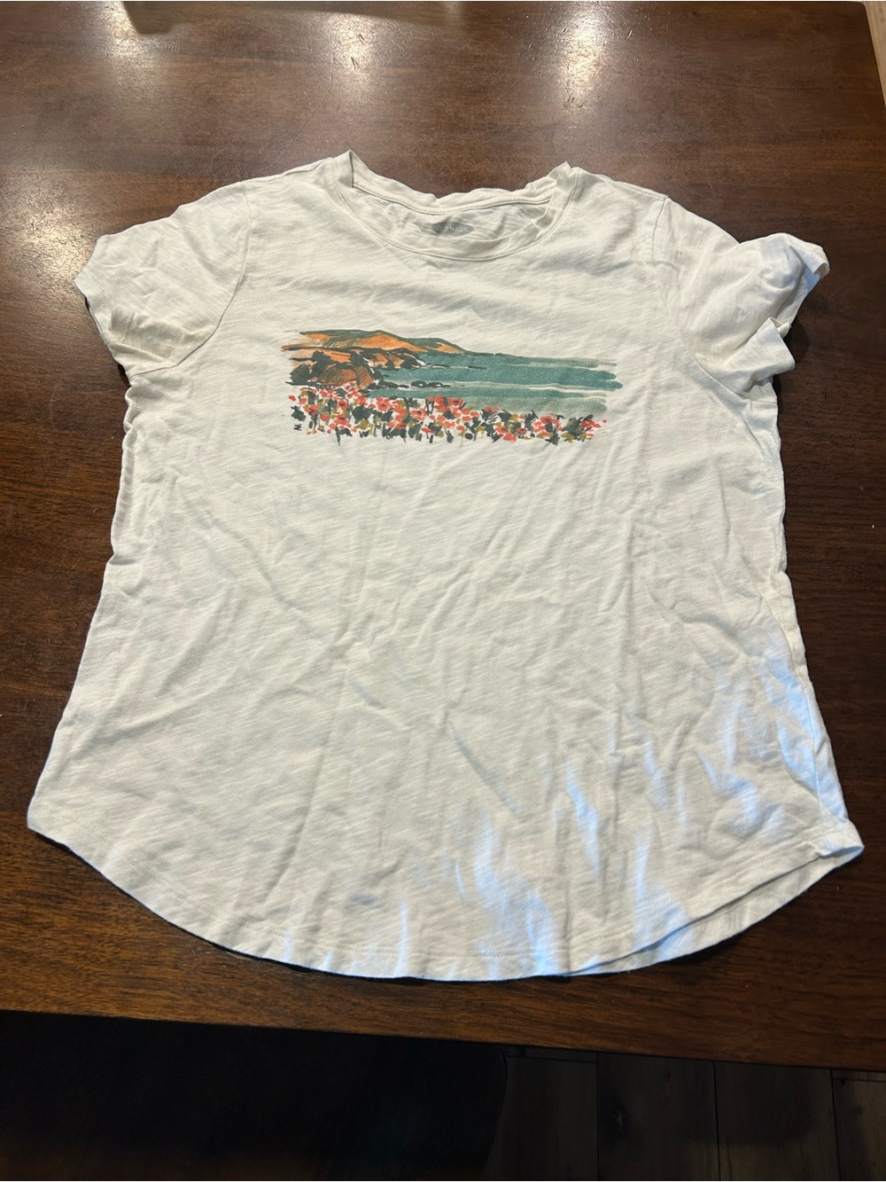 Old Navy White Short Sleeve Graphic Tee with Teal and Coral Accents